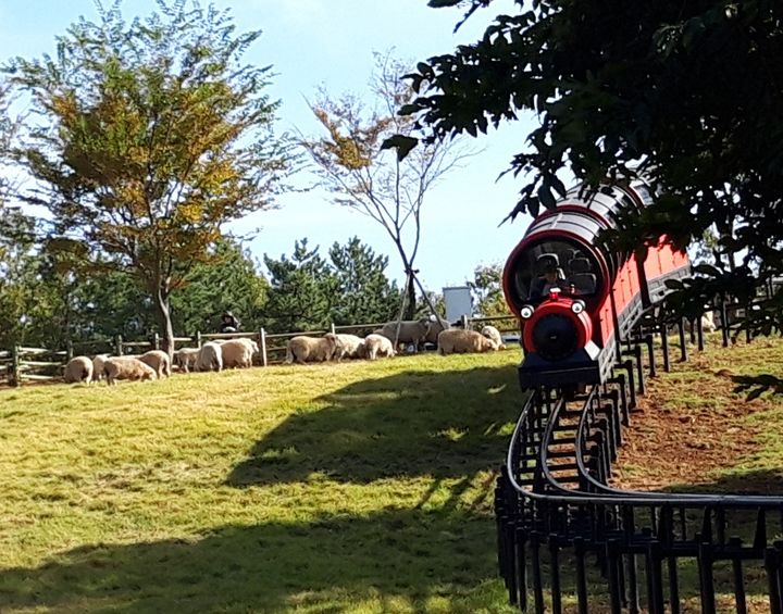 [거제=뉴시스] 신정철 기자= 경남 거제시는 거제면에 위치한 숲소리공원이 지난해 방문객 수 14만 명을 돌파하며 개장 이후 최고 기록을 경신했다고 11일 밝혔다.사진은 숲소리공원 전경.(사진=거제시 제공).2026.02.11. photo@newsis.com *재판매 및 DB 금지