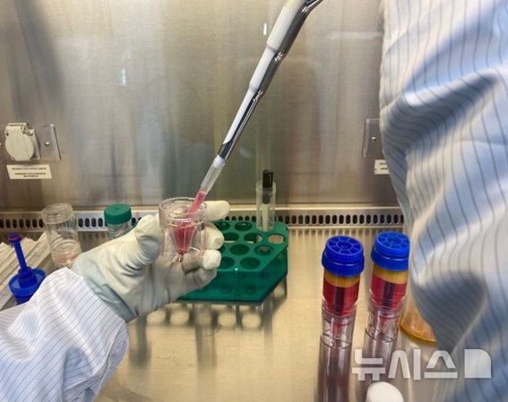 "무릎관절염 '이 주사' 맞으러 서울로"…상경하는 환자들