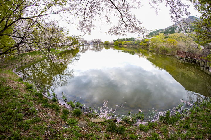 [창원=뉴시스] 강경국 기자 = 경남 창원시 진해구 진해내수면환경생태공원. (사진=창원시청 제공). 2026.02.12. photo@newsis.com *재판매 및 DB 금지