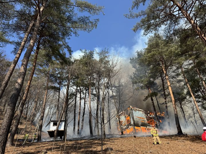 양양 농막화재, 산불로 번졌다…헬기 6대 투입 등 진화중