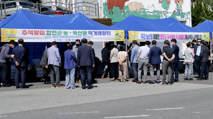 [합천=뉴시스] 설맞이 합천군 농특산물 직거래장터 운영 (사진=합천군 제공) 2026. 02. 12. photo@newsis.com *재판매 및 DB 금지
