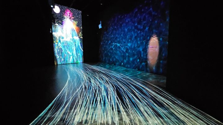 [밀양=뉴시스] 선샤인밀양테마파크 내 네이처 에코리움. (사진= 밀양시 제공) 2026.02.12. photo@newsis.com *재판매 및 DB 금지