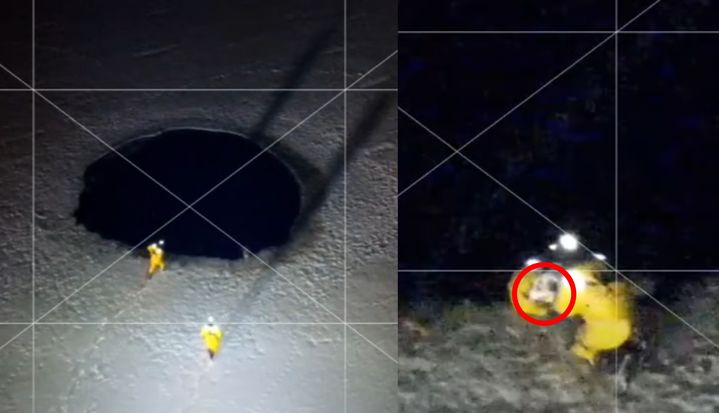 얼음 연못 한가운데 빠진 반려견…10분 사투 끝 구조 완료