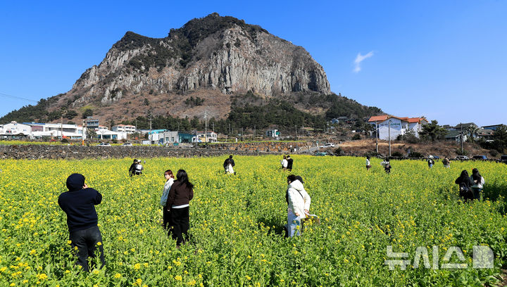 제주, 대체로 맑고 바람 강해…낮 최고 14도 