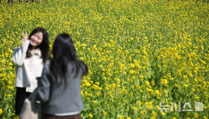 설날 대구·경북, 흐리다 차차 맑아져…아침 -6도·낮 12도