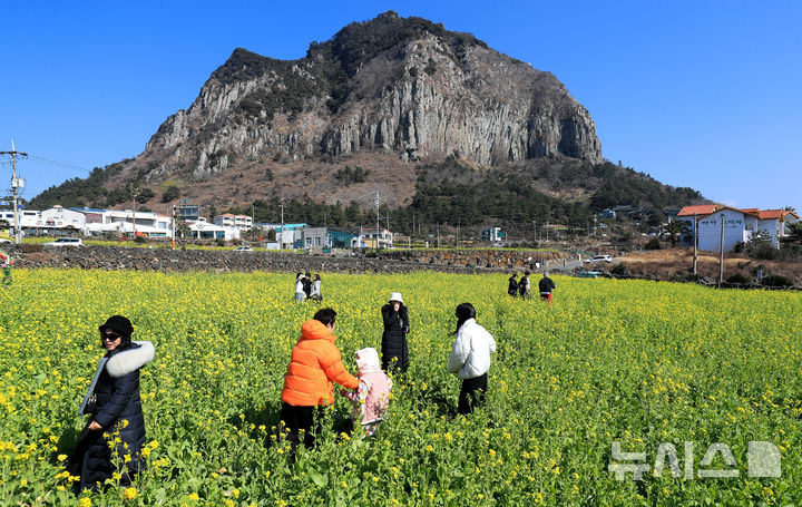 '우수' 제주, 대체로 맑고 일교차 커…낮 최고 13도