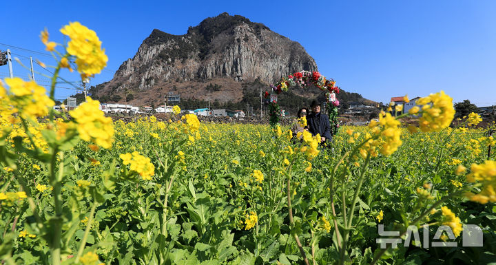 제주, 대체로 맑고 기온 포근…낮 최고 16도