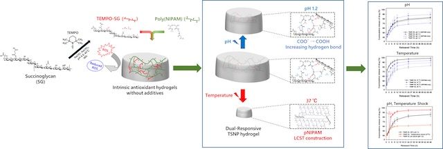 [서울=뉴시스] 연구 모식도. (사진=건국대 제공) 2026.02.13. photo@newsis.com *재판매 및 DB 금지