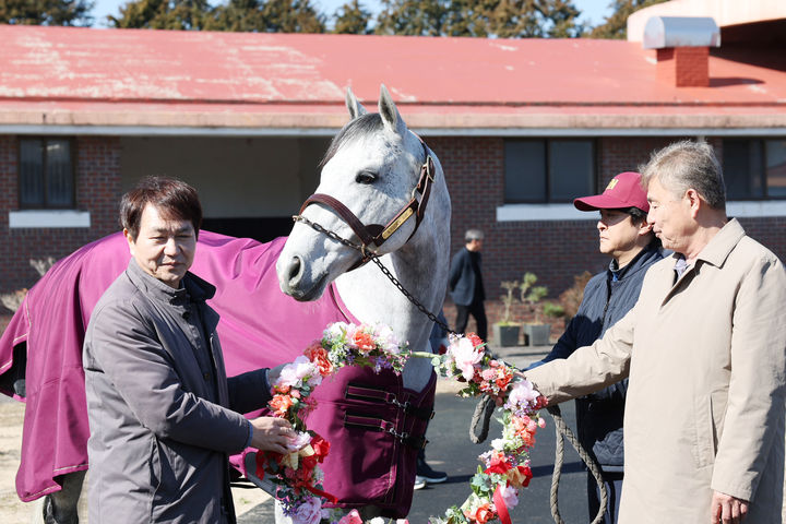 [제주=뉴시스] 12일 한국마사회 제주목장이 닉스고 환영식을 진행하고 있다. (사진=한국마사회 제주본부 제공) 2026.02.13. photo@newsis.com *재판매 및 DB 금지