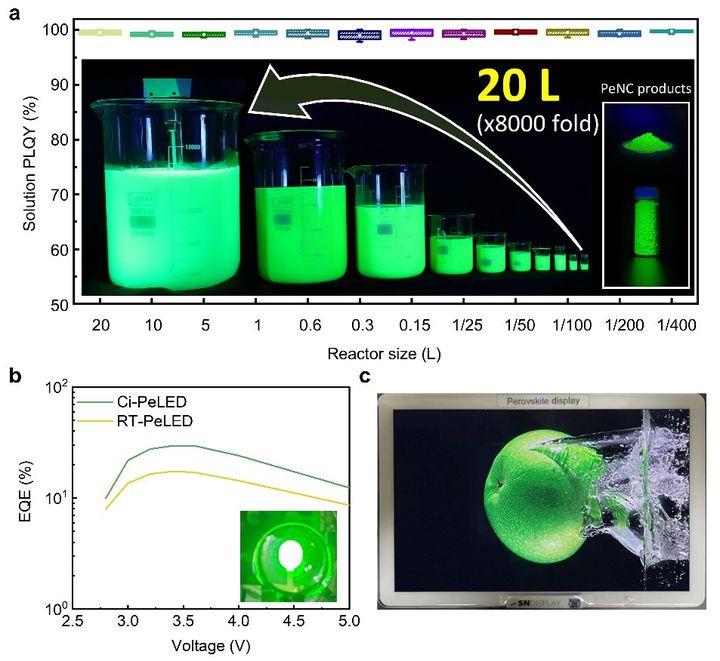 저온주입법을 활용한 페로브스카이트 나노결정의 대량 합성 과정과 페로브스카이트 나노결정 색변환 필름이 장착된 태블릿 디스플레이의 모습. (사진=과기정통부 제공) *재판매 및 DB 금지