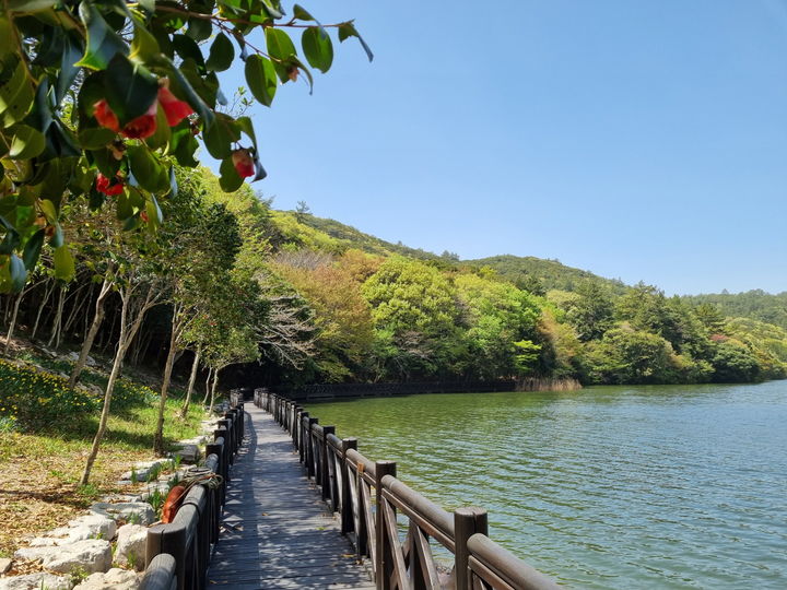 [완도=뉴시스] 완도수목원 탐방로. (사진=완도수목원 제공) 2026.02.13. photo@newsis.com *재판매 및 DB 금지