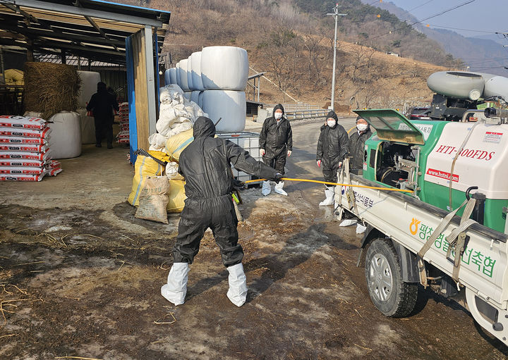 [정선=뉴시스] 강원 정선군은 13일 설 연휴를 앞두고 가축전염병 차단 합동 특별방역을 실시하고 있다. (사진=정선군 제공) 2026.02.13. photo@newsis.com *재판매 및 DB 금지
