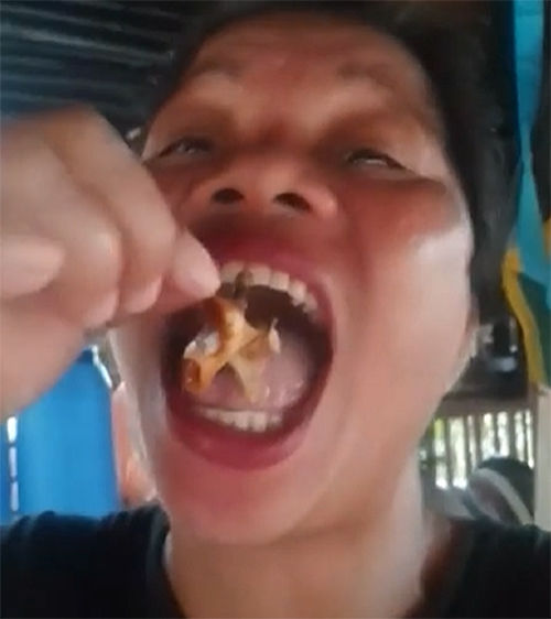 필리핀의 한 먹방 인플루언서가 독성이 강한 ‘데빌 크랩'을 먹은 뒤 사망하는 사고가 발생헸다. 사진 유튜브 캡처 *재판매 및 DB 금지