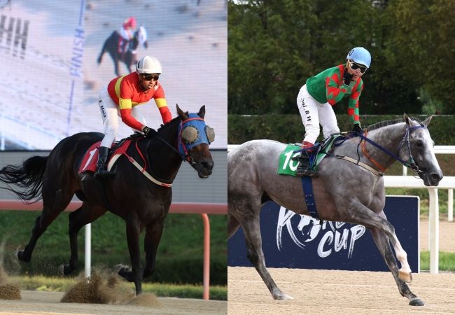 [서울=뉴시스] 15일 제24회 세계일보배에 출전하는 '문학보이(왼쪽)', '베스트레이스'. (사진=한국마사회 제공) *재판매 및 DB 금지