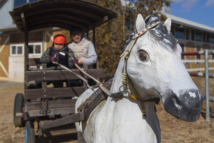 화성 궁평캠프(사진=경기관광공사 제공) *재판매 및 DB 금지
