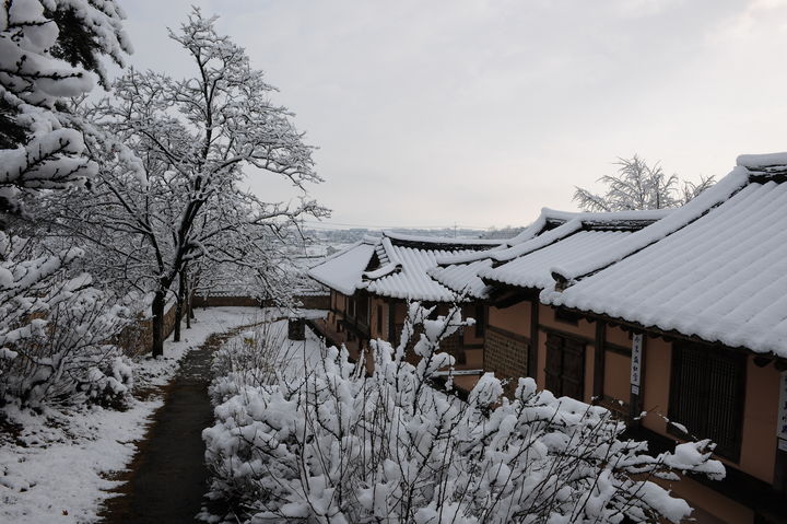 [예산=뉴시스] 예산 추사고택 설경. (사진=예산군 제공) 2026.02.14. photo@newsis.com *재판매 및 DB 금지