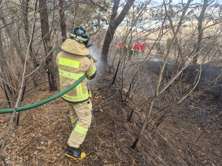 '밭 소각하다'…당진 송산 임야 불 54분 만에 진화(종합)