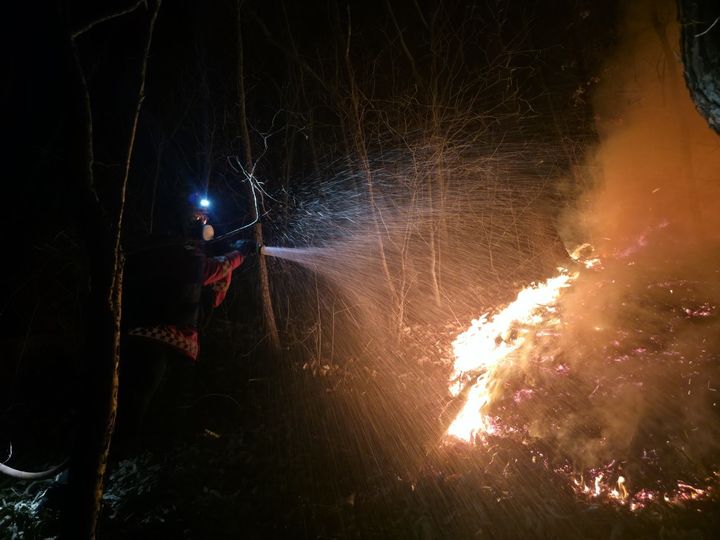 [금산=뉴시스] 지난 14일 충남 금산 진산면 부암리 산 17 일원에서 난 산불을 현장에 출동한 소방대원이 진화하고 있다. (사진=산림청 제공) 2026.02.15. photo@newsis.com *재판매 및 DB 금지