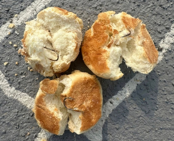 [나주=뉴시스] 전남 나주시 반려견 놀이터에서 한 견주가 전날 발견한 '낚시바늘 꽂힌 빵'. (사진=사회관계망서비스 갈무리) 2026.02.15. photo@newsis.com *재판매 및 DB 금지