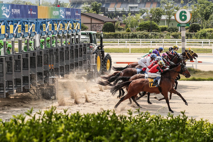 [서울=뉴시스] 한국마사회, 오는 20일부터 22일까지 사흘간 서울·부산경남·제주 3개 경마공원 전면 휴장. (사진=한국마사회 제공) *재판매 및 DB 금지