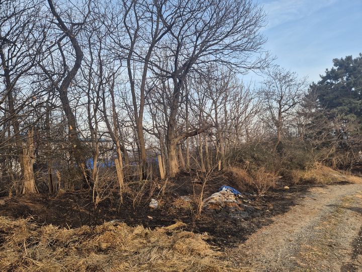 [서산=뉴시스] 15일 오후 4시30분께 충남 서산시 음암면 신장리 745의36 일원에서 산불이 나 나무들이 타고 그을린 모습. (사진=서산소방서 제공) 2026.02.15. photo@newsis.com *재판매 및 DB 금지