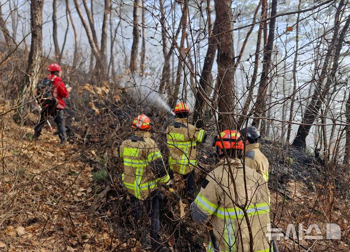 [청도=뉴시스] 16일 오후 1시26분께 경북 청도군 풍각면 수월리 한 야산에서 불이 나 소방당국이 진화 작업을 펼치고 있다. (사진=청도소방서 제공) 2026.02.16. photo@newsis.com