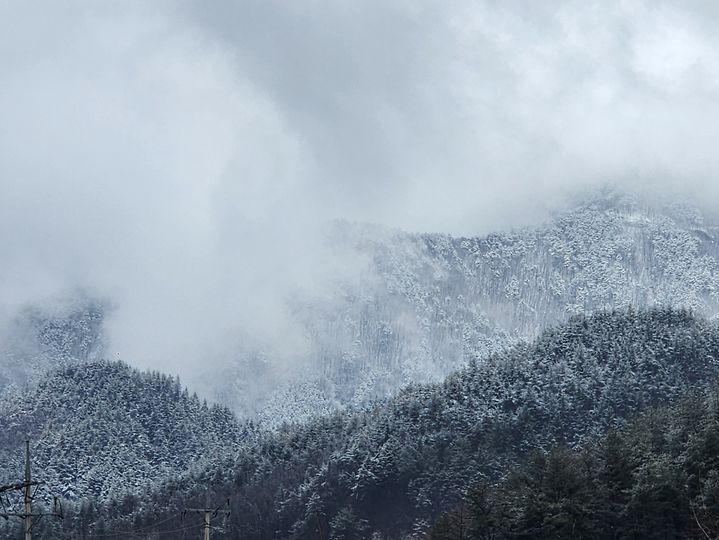 [강릉=뉴시스] 강원 산지에 눈이 쌓인 모습. (사진=뉴시스 DB). photo@newsis.com *재판매 및 DB 금지