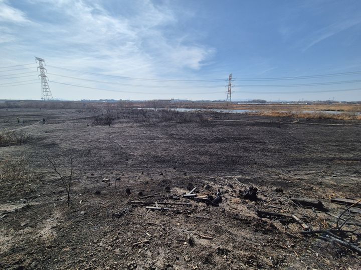 [예산=뉴시스] 16일 오후 12시41분께 충남 예산군 신암면 두곡리 하천 갈대밭에서 불이 나 갈대밭 8만㎡가 탔다. (사진=예산군 제공) 2026.02.16. photo@newsis.com *재판매 및 DB 금지