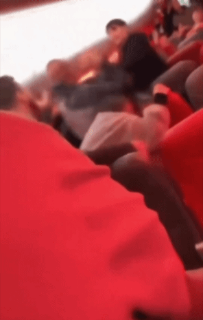 인종차별 발언에 기내서 집단 난투극…비상착륙 사태까지