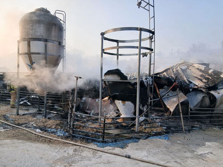 순창군 돈사 불…돼지 2200마리 폐사, 2억1000만원 피해