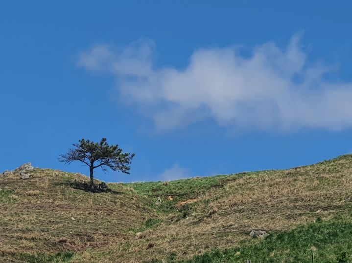 대체로 맑은 충남권 아침 최저 -9도·낮 최고 11도