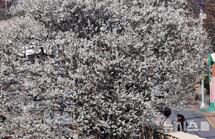 부산, 대체로 맑고 건조한 날씨…낮 최고 12도