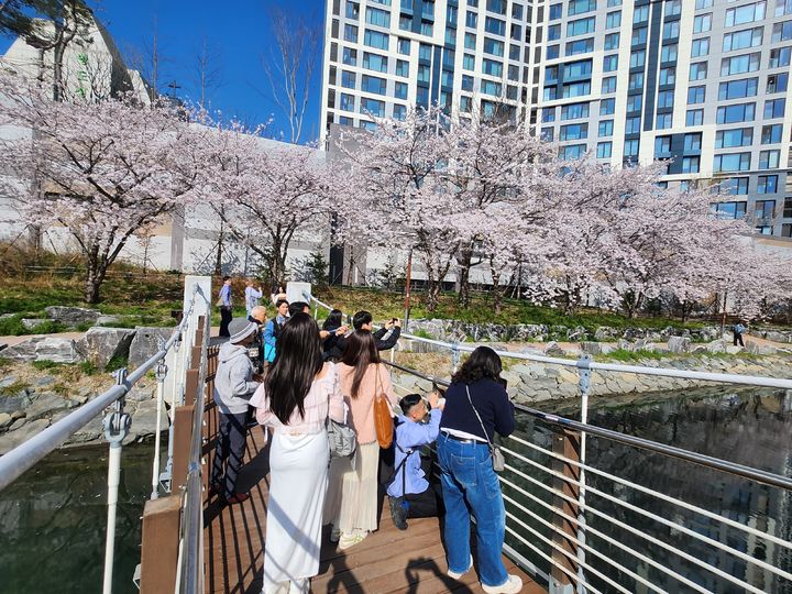 [부산=뉴시스] 지난해 4월 열린 '2025 대만 인플루언서 초청 봄꽃 팸투어'에 참가한 참여자들이 부산 영도동삼해수천을 관광하고 있다. (사진=부산관광공사 제공) 2026.02.19. photo@newsis.com *재판매 및 DB 금지