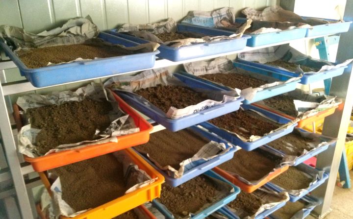 성분 종합 검사 앞둔 단양 농지의 토양 *재판매 및 DB 금지