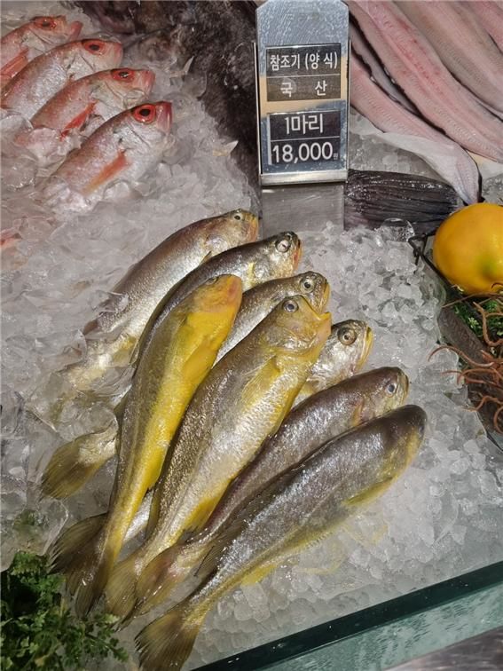 [부산=뉴시스] 현대백화점에 판매 중인 제주산 양식 참조기. (사진=국립수산과학원 제공) 2026.02.19. photo@newsis.com *재판매 및 DB 금지