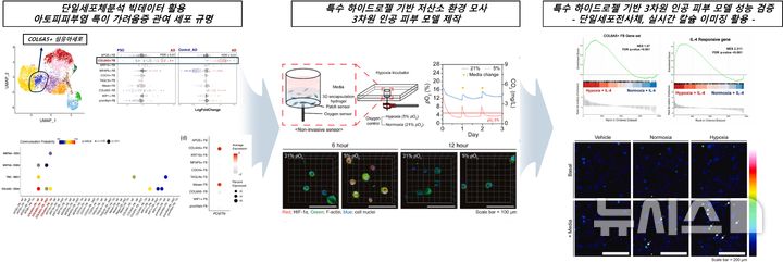 "아토피 가려움증, 인공피부로 치료"…'3차원 모델' 개발