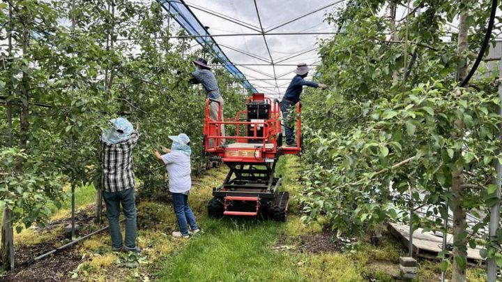 증평군, 23일부터 '일손더하기' 사업 추진…"인력난 해소"