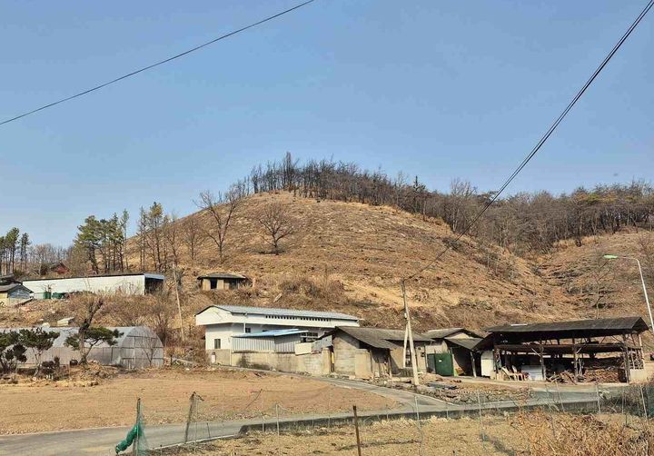  [의성=뉴시스] 산불피해지 위험목 제거 현장 (사진=의성군 제공) 2026.02.19. photo@newsis.com *재판매 및 DB 금지