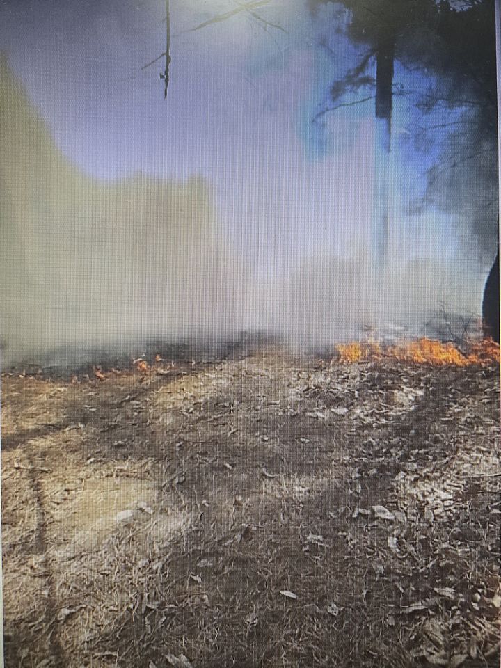 [대전=뉴시스]19일 대전 대덕구서 발생한 산불의 모습.(사진=산림청 제공) *재판매 및 DB 금지