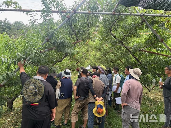 2025년 영천 농업대학 복숭아 과정