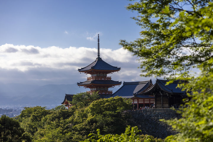 "사원서 비키니 금지하자 'XXX' 패륜 욕설"…태국 발칵 뒤집은 관광객