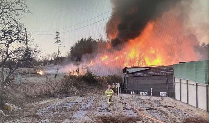 [울산=뉴시스] 19일 오후 울산 북구 상안동 한 대나무밭에서 불길이 올라오고 있다. (사진=울산소방본부 제공) 2026.02.19. photo@newsis.com *재판매 및 DB 금지