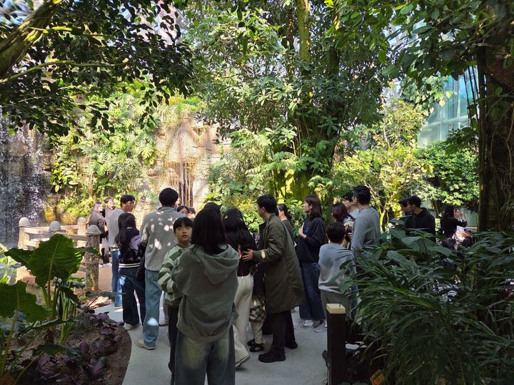 [거제=뉴시스] 신정철 기자= 경남 거제시 거제면에 위치한 거제식물원이 설 명절 연휴 기간 동안 총 2만 2268명의 방문객이 다녀가며 명절 대표 관광지로서의 위상을 다시 한 번 확인했다. 사진은 연휴 기간에도 많은 귀성객과 관광객의 발길이 이어진 거제식물원 내부 모습.(사진=거제시 제공).2026.02.19. photo@newsis.com *재판매 및 DB 금지