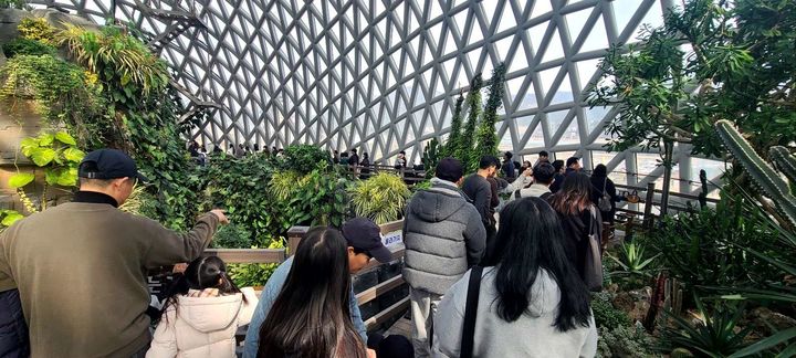 [거제=뉴시스] 신정철 기자= 경남 거제시 거제면에 위치한 거제식물원이 설 명절 연휴 기간 동안 총 2만 2268명의 방문객이 다녀가며 명절 대표 관광지로서의 위상을 다시 한 번 확인했다. 사진은 설 연휴 기간에도 많은 귀성객과 관광객의 발길이 이어진 거제식물원 내부 모습.(사진=거제시 제공).2026.02.19. photo@newsis.com *재판매 및 DB 금지