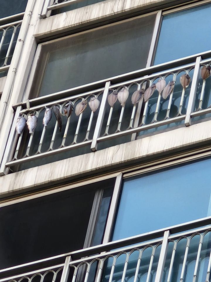 사진 당근 동네생활 게시판 *재판매 및 DB 금지