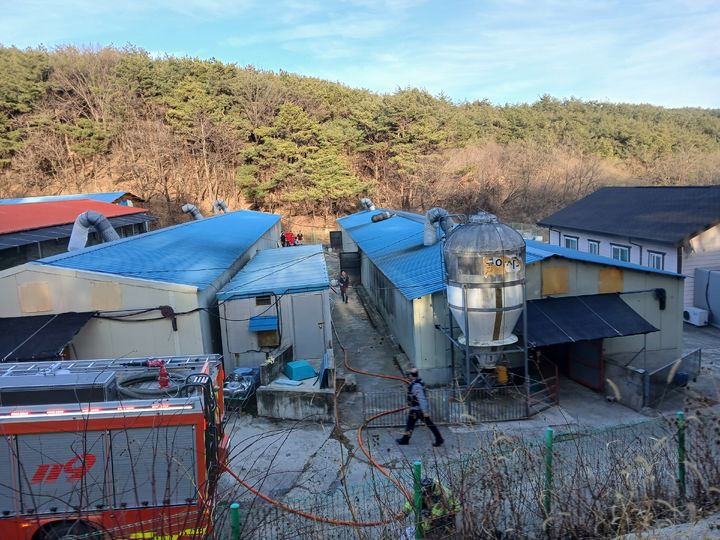 '펑 소리' 산청 돈사 화재, 189마리 '폐사'…인명피해 없어