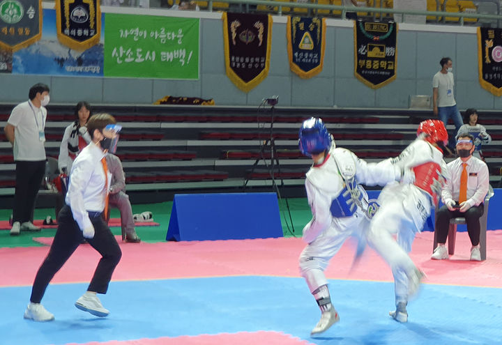 태백고원체육관에서 열린 태권도대회.(사진=태백시 제공) *재판매 및 DB 금지
