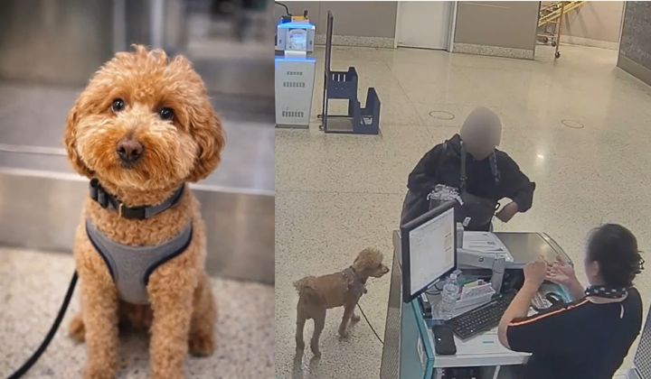 [뉴시스] 미국 라스베이거스 공항에서 반려견을 카운터에 묶어둔 채 떠난 여성이 반려동물 유기 혐의로 체포돼 입건됐다. (사진=라스베이거스경찰국 X 캡처) *재판매 및 DB 금지