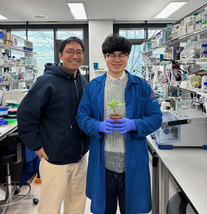 [대전=뉴시스] KAIST 김상규 교수팀이 경상국립대와 공동연구를 통해 까마중에서 스테로이드 호르몬 원료를 대량 생산하는데 성공했다. 사진은 김상규(왼쪽) 교수와 임종부 박사가 까마중을 들고 있는 모습.(사진=KAIST 제공) *재판매 및 DB 금지