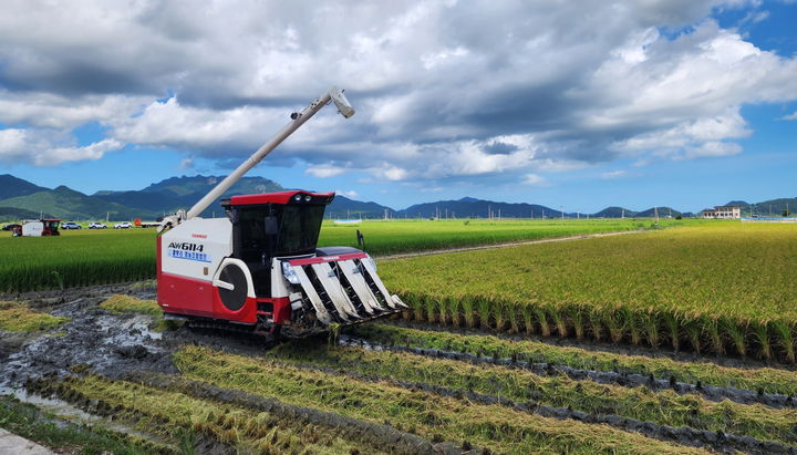 [고흥=뉴시스] 고흥 지역 벼 재배농가 추수 장면. (사진=전남도 제공) 2026.02.20. photo@newsis.com *재판매 및 DB 금지